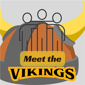 meet the vikings